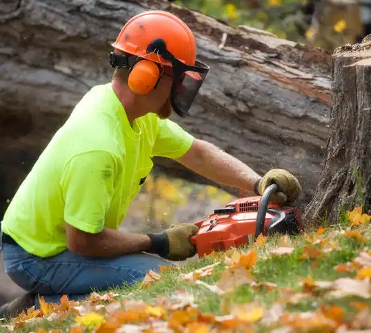 tree services Denham Springs